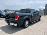 Used 2015 Ford F150 XLT w/ Equipment Group 302A Luxury image 3