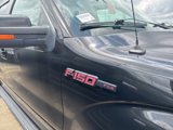 Used 2013 Ford F150 FX4 w/ Luxury Equipment Group image 5