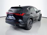 New 2025 Lexus NX 300h AWD w/ Luxury Package image 5