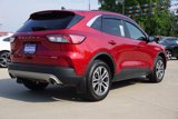 Used 2022 Ford Escape SEL image 3
