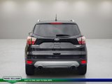 Used 2017 Ford Escape Titanium image 5