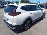 Used 2020 Honda CR-V EX-L image 4