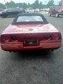 Used 1986 Chevrolet Corvette Convertible image 5