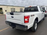 Used 2019 Ford F150 XL w/ Equipment Group 101A Mid image 4