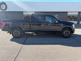 Certified 2023 Ford F150 XLT w/ Equipment Group 302A High image 4
