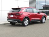 Used 2023 Ford Escape Active w/ Tech Pack #2 image 6