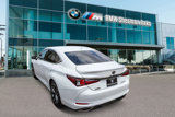 Used 2019 Lexus ES 350 F Sport image 6