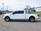Used 2021 Ford F150 XLT w/ Equipment Group 302A High image 2