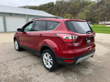 Used 2017 Ford Escape SE w/ Equipment Group 201A image 3