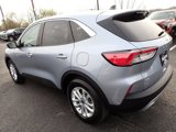 Certified 2022 Ford Escape SE w/ Convenience Package image 5