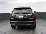 Used 2020 Cadillac XT5 Premium Luxury image 5