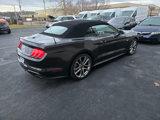 Used 2023 Ford Mustang GT Premium w/ Equipment Group 401A image 5