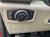 Used 2015 Ford F150 XLT image 6