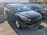 Used 2020 Ford Escape SE image 3