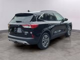 Used 2020 Ford Escape SEL image 4