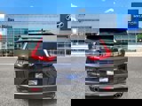 Used 2019 Honda CR-V EX-L image 5