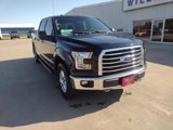 Used 2016 Ford F150 XLT w/ Equipment Group 302A Luxury image 3