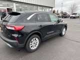 Used 2022 Ford Escape SE w/ Cold Weather Package image 3