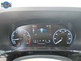 Used 2024 Ford Bronco Sport Big Bend image 5