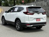 Used 2020 Honda CR-V EX-L image 5