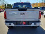 New 2024 Ford F150 STX w/ STX Black Appearance Package image 5