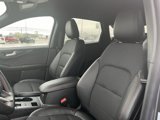 New 2024 Ford Escape ST-Line w/ Tech Pack #1 image 4
