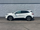 Used 2020 Ford Escape SEL image 1
