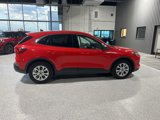 Used 2024 Ford Escape Active image 3