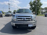 Used 2013 Ford F150 XLT w/ Luxury Equipment Group image 2