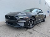Certified 2022 Ford Mustang Premium image 2
