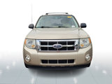 Used 2010 Ford Escape XLT image 2