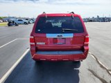 Used 2009 Ford Escape Limited image 6
