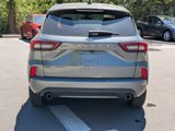 Used 2024 Ford Escape ST-Line w/ Cold Weather Package image 6