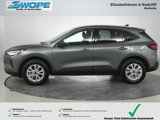 Used 2025 Ford Escape Active w/ Tech Pack #1 image 5