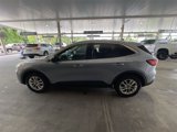 Certified 2022 Ford Escape SE image 5