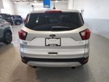 Used 2019 Ford Escape SE image 3