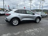 Used 2024 Ford Escape Active image 5