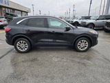 Used 2022 Ford Escape SE image 2