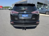 Used 2016 Toyota RAV4 Limited image 6
