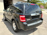 Used 2011 Ford Escape Limited w/ 301A Rapid Spec Order Code image 5