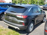 Used 2020 Ford Escape SE image 4