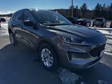 Used 2022 Ford Escape SE image 2