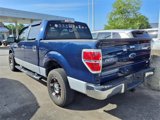 Used 2010 Ford F150 XLT image 3