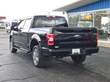 Used 2019 Ford F150 XLT w/ Equipment Group 302A Luxury image 5