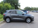 Used 2020 Ford Escape SE image 4