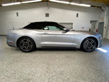Used 2020 Ford Mustang GT Premium image 5