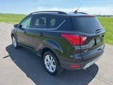 Used 2019 Ford Escape SEL image 5