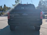 Certified 2022 Ford F150 XLT w/ Equipment Group 302A High image 5