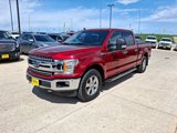 Used 2019 Ford F150 XLT w/ Equipment Group 302A Luxury image 3