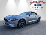 Certified 2022 Ford Mustang Premium image 5